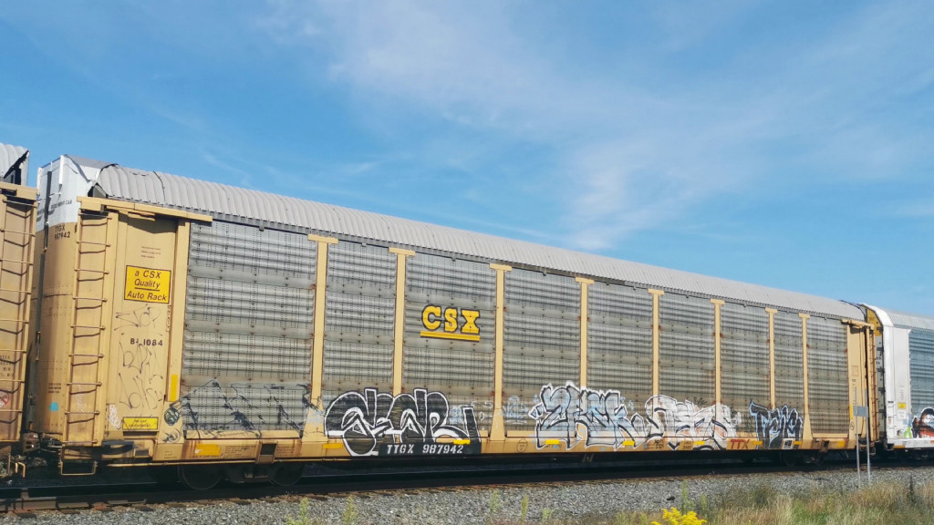 CSX B1084 (Body) TTGX 987942 (Flat)